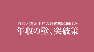 年収の壁、突破策